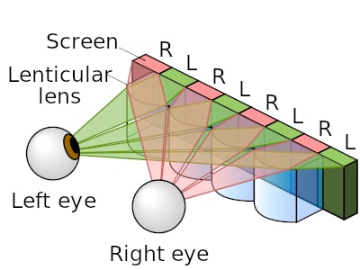 Visual aid demonstrating the functionality of lenticular lenses the
