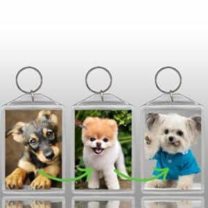 Flip Photo Keychain of dogs
