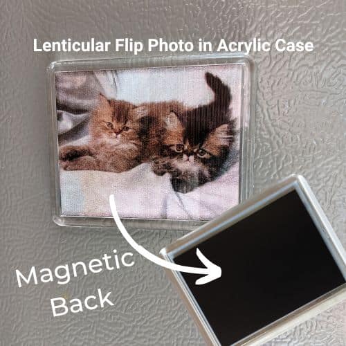 flip picture magnet