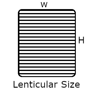 simple representation of lenticular sheet